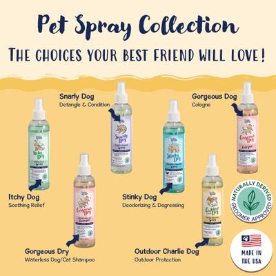 Show full view: Bobbi Panter Signature Outdoor Dog Flea & Tick Spray, 8-fl oz bottle slide 5 of 6