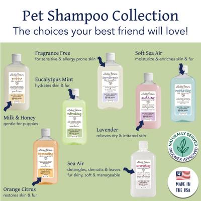 Show full view: Bobbi Panter Botanical Refreshing Dog Shampoo, 14-fl oz bottle slide 5 of 7