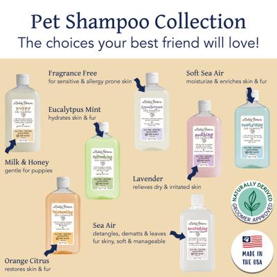 Show full view: Bobbi Panter Botanical Puppy Dog Shampoo, 14-fl oz bottle slide 5 of 7