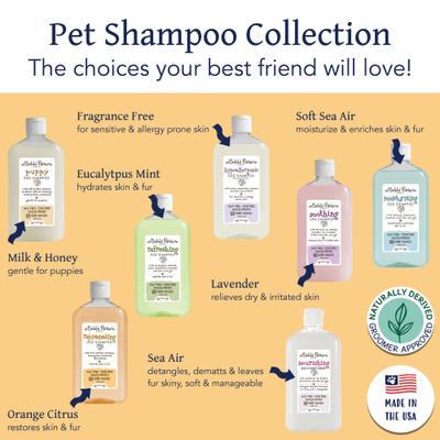 Show full view: Bobbi Panter Botanical Rejuvenating Dog Shampoo, 14-fl oz bottle slide 5 of 7