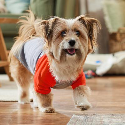 Show full view: Frisco Baseball Dog & Cat T-Shirt, Red, Medium slide 7 of 10