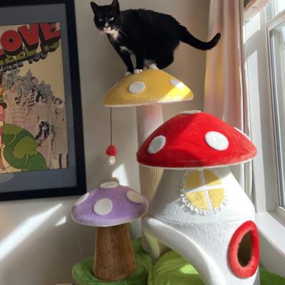 Show full view: Happy & Polly Magic Mushroom 29-in Flannel Cat Tree, Red slide 6 of 8