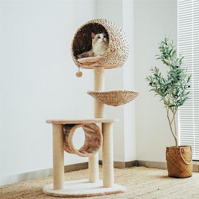 Show full view: Happy & Polly 51-in Natural Plush Cat Tree, Beige slide 7 of 8