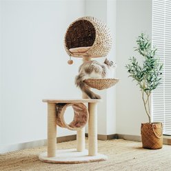Happy & Polly 51-in Natural Plush Cat Tree, Beige