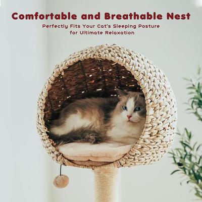 Show full view: Happy & Polly 51-in Natural Plush Cat Tree, Beige slide 4 of 8