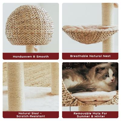 Show full view: Happy & Polly 51-in Natural Plush Cat Tree, Beige slide 3 of 8