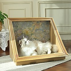 Happy & Polly Retro Art Bloomy Flower Cat House with Scratcher