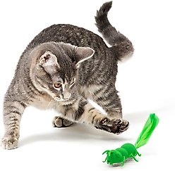 Playology Motorized Ant Cat Motion Toy slide 2 of 6