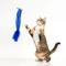 Show in main carousel: Playology Articulated Slug Cat Teaser Toy with Catnip slide 3 of 8