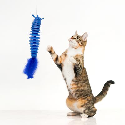 Show full view: Playology Articulated Slug Cat Teaser Toy with Catnip slide 3 of 8