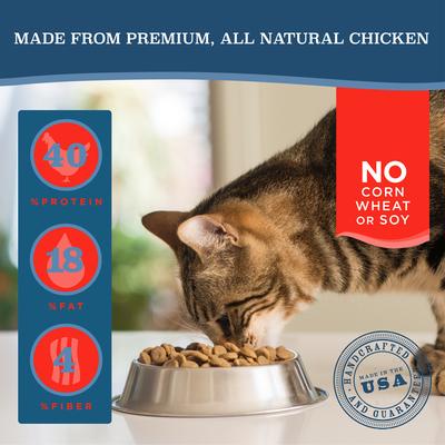 Show full view: Blackwood Duck Meal, Salmon Meal & Field Pea Grain-Free Dry Cat Food, 4-lb bag slide 3 of 10