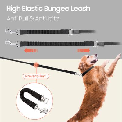 Show full view: Happy & Polly 4-in-1 Retractable Dog Leash with Flashlight, 16-ft long, 1/2-in wide, White slide 4 of 7