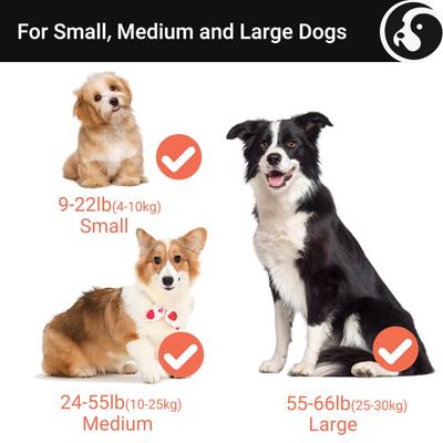 Show full view: Happy & Polly 4-in-1 Retractable Dog Leash with Flashlight, 16-ft long, 1/2-in wide, White slide 3 of 7