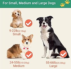 Happy & Polly 4-in-1 Retractable Dog Leash with Flashlight, 16-ft long, 1/2-in wide, Green slide 2 of 5