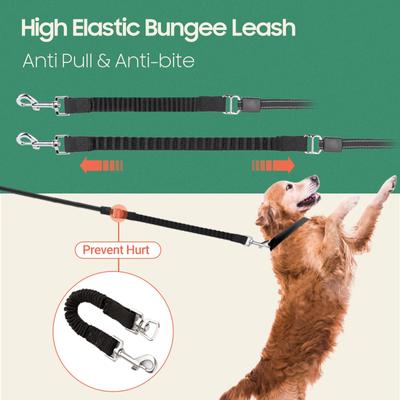 Show full view: Happy & Polly 4-in-1 Retractable Dog Leash with Flashlight, 16-ft long, 1/2-in wide, Green slide 3 of 7