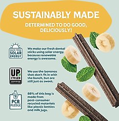 Shameless Pets Dental Sticks Banana & Mint Dog Treats, 8 count slide 2 of 8