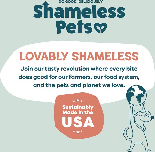 Show full view: Shameless Pets Salmon Jerky Dog Treats, 5-oz bag slide 9 of 11