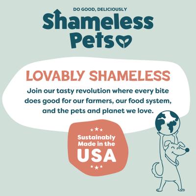 Show full view: Shameless Pets Salmon Jerky Dog Treats, 5-oz bag slide 9 of 11