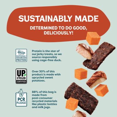 Show full view: Shameless Pets Duck Jerky Dog Treats, 5-oz bag slide 8 of 11