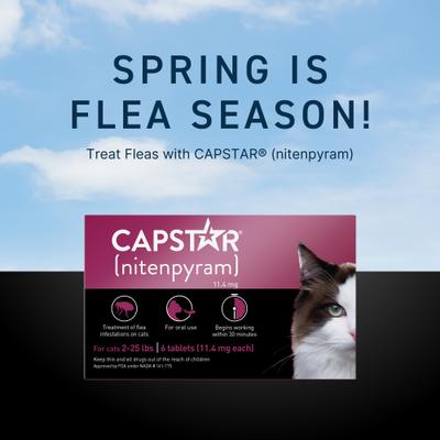 Show full view: Capstar Flea Oral Treatment for Cats, 2-25 lbs, 6 Tablets + PetArmor Home Yard & Premise Flea & Tick Spray Treatment, 32-oz bottle slide 3 of 9