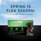 Show in main carousel: Capstar Flea Oral Treatment for Dogs, over 25-lbs, 6 Tablets + PetArmor Home Yard & Premise Flea & Tick Spray Treatment, 32-oz bottle slide 3 of 9