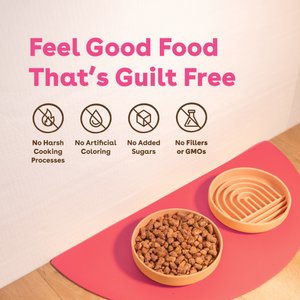 Pupford Good Dog Food Lamb & Salmon Recipe Freeze-Dried Dog Food, 16-oz bag