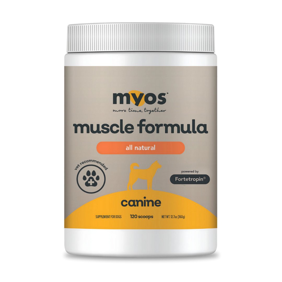 Canine Muscle Formula Dog Supplement