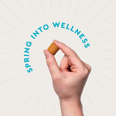 Show full view: VetIQ Hickory Smoke Flavored Soft Chews Flea & Tick Support for Dogs, 9.5-oz, 60 count slide 3 of 10