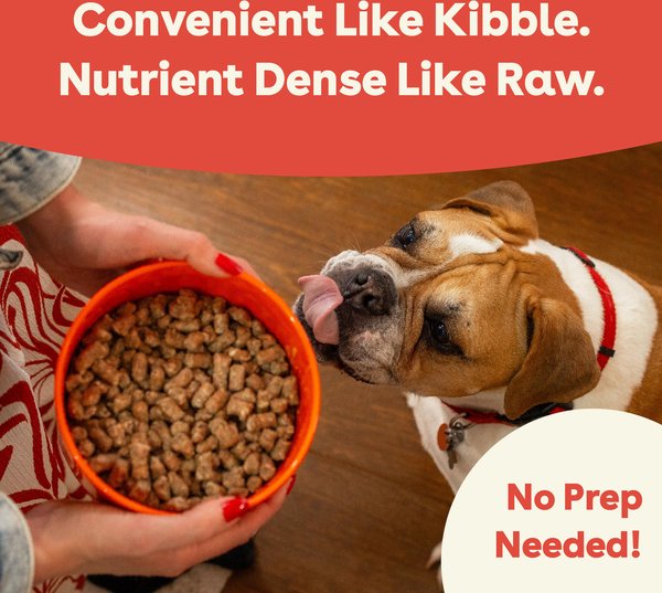 Pupford Good Dog Food Beef Recipe Freeze-Dried Dog Food