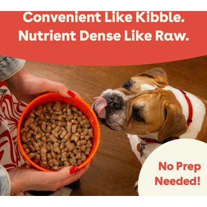 Pupford Good Dog Food Beef Recipe Freeze-Dried Dog Food, 25-oz bag