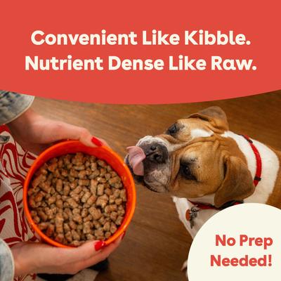 Show full view: Pupford Good Dog Food Beef Recipe Freeze-Dried Dog Food, 16-oz bag slide 6 of 10