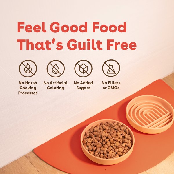 Pupford Good Dog Food Beef Recipe Freeze-Dried Dog Food
