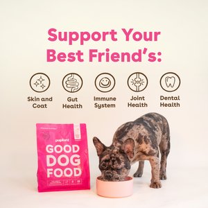 Pupford Good Dog Food Lamb & Salmon Recipe Freeze-Dried Dog Food, 16-oz bag