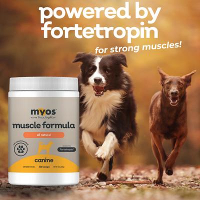 Show full view: MYOS Canine Muscle Formula Dog Supplement, 12.7-oz slide 6 of 11