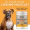 Show in main carousel: MYOS Canine Muscle Formula Dog Supplement, 12.7-oz slide 5 of 11
