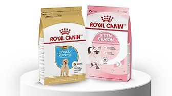 royal canin contact