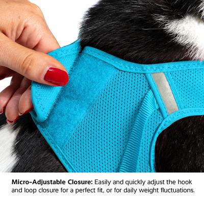 Show full view: Red Dingo Mesh Dog Harness, Cool Grey, XX-Large: 22 to 24.75-in chest slide 4 of 7