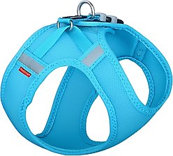 Red Dingo Mesh Dog Harness, Turquoise, Medium: 15 to 17-in chest