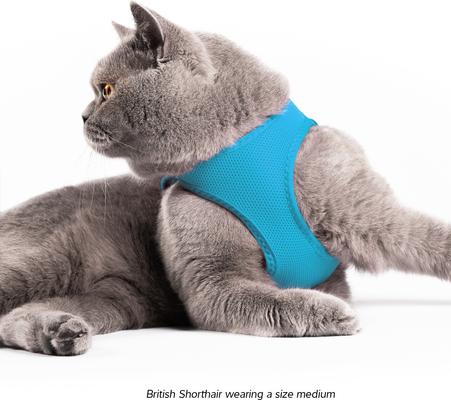 Show full view: Red Dingo Mesh Dog Harness, Cool Grey, XX-Large: 22 to 24.75-in chest slide 6 of 7