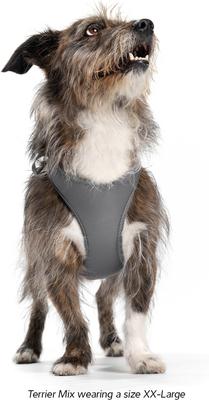 Show full view: Red Dingo Mesh Dog Harness, Cool Grey, XX-Large: 22 to 24.75-in chest slide 7 of 7