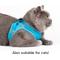 Show in main carousel: Red Dingo Mesh Dog Harness, Cool Grey, XX-Large: 22 to 24.75-in chest slide 5 of 7