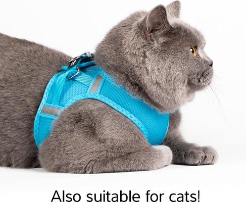 Show full view: Red Dingo Mesh Dog Harness, Cool Grey, XX-Large: 22 to 24.75-in chest slide 5 of 7