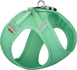 Red Dingo Mesh Dog Harness, Pastel Green, Medium: 15 to 17-in chest