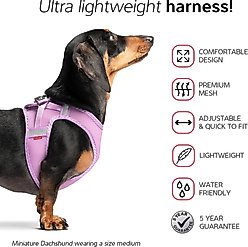 Red Dingo Mesh Dog Harness, Pastel Green, Medium: 15 to 17-in chest slide 2 of 6