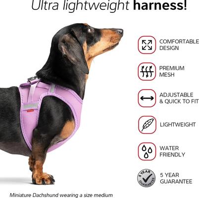 Show full view: Red Dingo Mesh Dog Harness, Cool Grey, XX-Large: 22 to 24.75-in chest slide 3 of 7