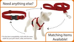 LupinePet Waterproof BioThane Padded Handle Dog Leash, Brick Red, Regular: 6-ft long, 1-in wide slide 2 of 5