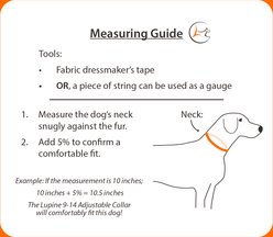 LupinePet Eco Polyester Dog Collar, Mountain Lake, Small: 9 to 14-in neck, 3/4-in wide slide 2 of 5