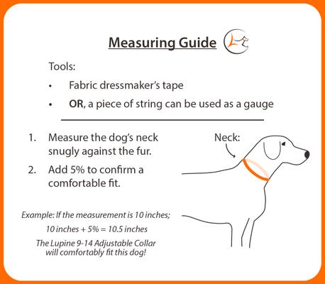 Show full view: LupinePet Eco Dog Collar, Granite, X-Large: 25 to 31-in neck, 1-in wide slide 3 of 5