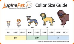 LupinePet Basic Solid Dog Collar, Red, Small: 10 to 16-in neck, 1/2-in wide slide 2 of 6