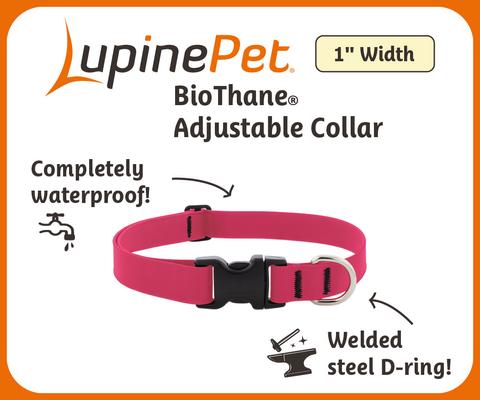 Show full view: LupinePet Waterproof BioThane Standard Dog Collar, Jet Black, Medium: 12 to 20-in neck, 1-in wide slide 2 of 7